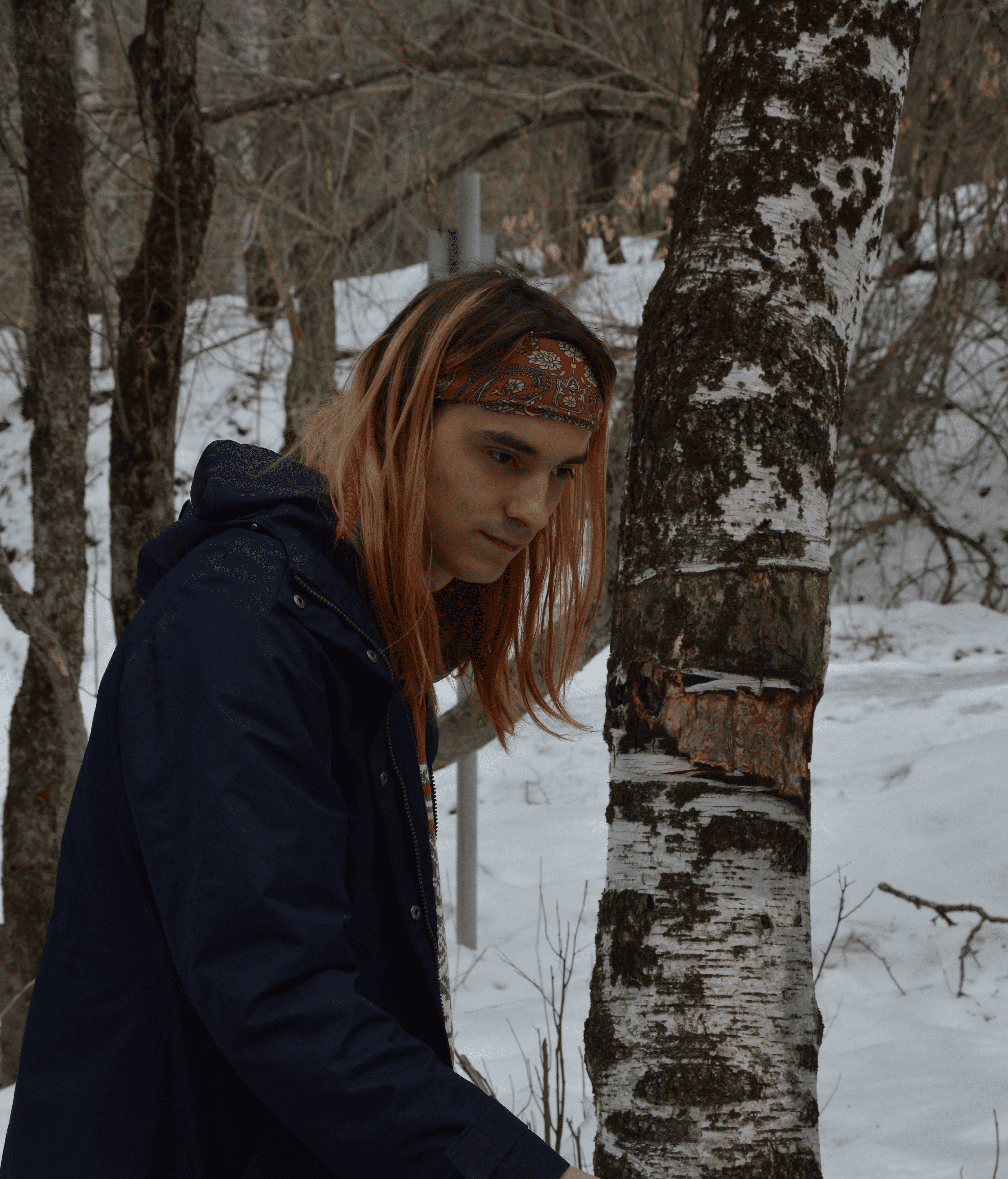 Описание изображения